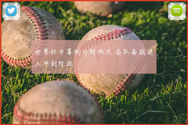 世界杯开幕倒计时两天 各队备战进入冲刺阶段