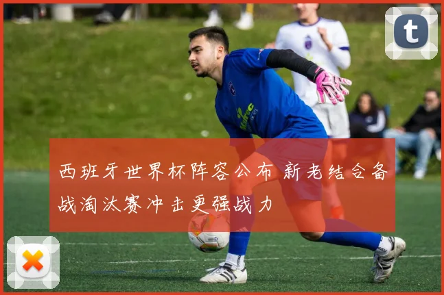 西班牙世界杯阵容公布 新老结合备战淘汰赛冲击更强战力