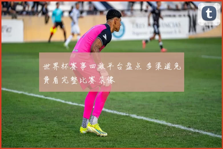 世界杯赛事回放平台盘点 多渠道免费看完整比赛录像